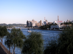 ぼんやりと大山。