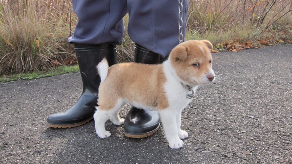 その視線・・・