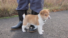 その視線・・・