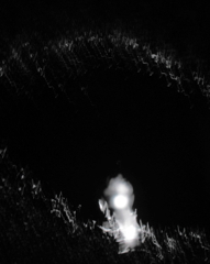 水溜りの月、アスファルトの星　　揺らぎ