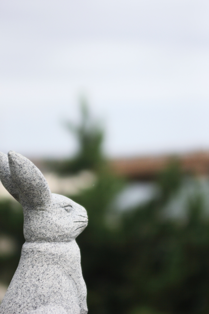 因幡のしろうさぎ