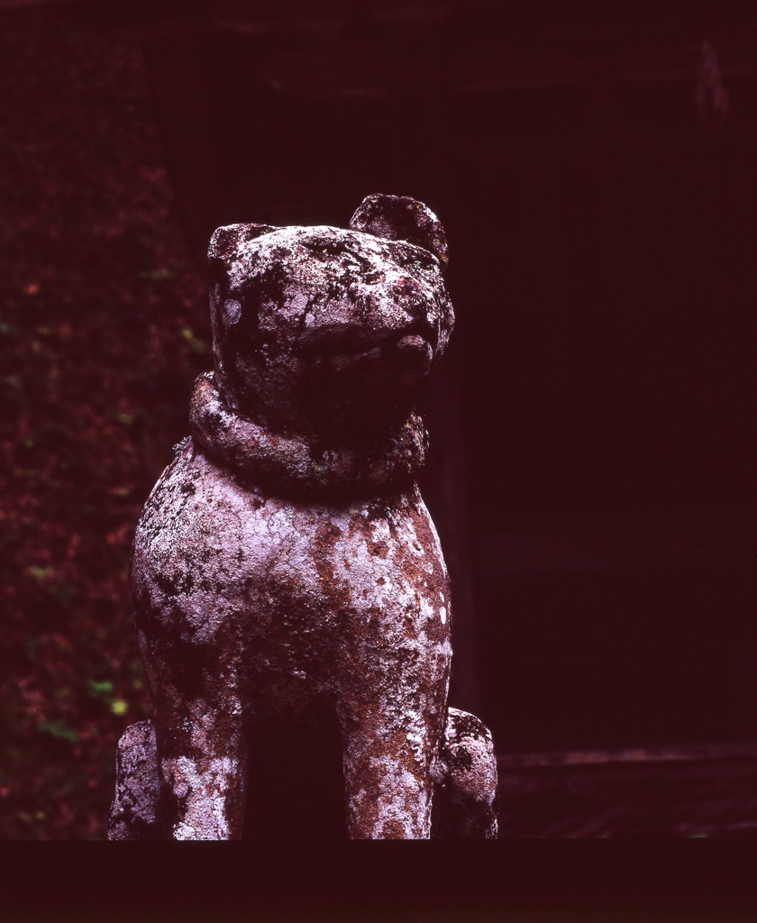 inari