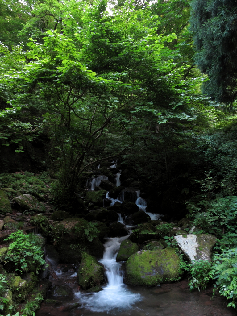 流れ