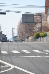 待ち望んだ眺め