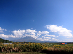 秋、大山