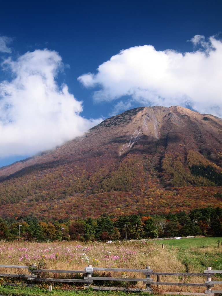 秋色の大山