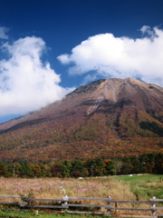 秋色の大山