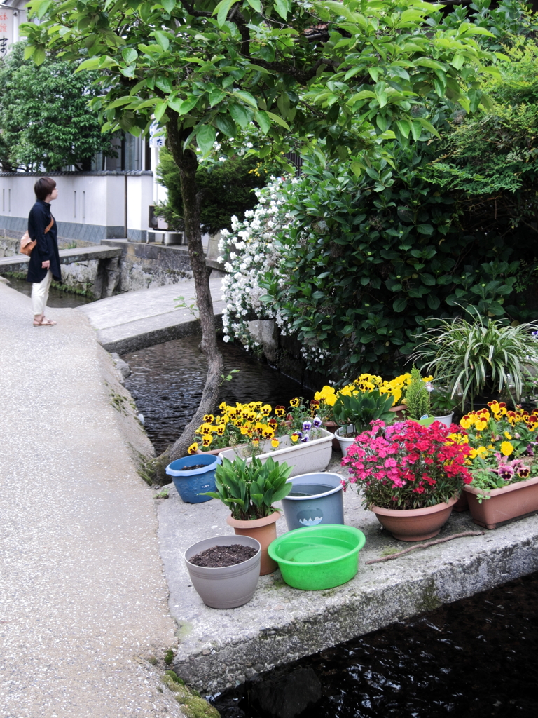 路地の彩り