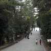 参道の人々