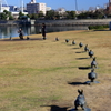 一兎を追う