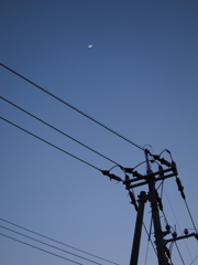 見上げれば、月