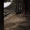 陽