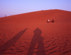 鳥取砂丘、朝日の時