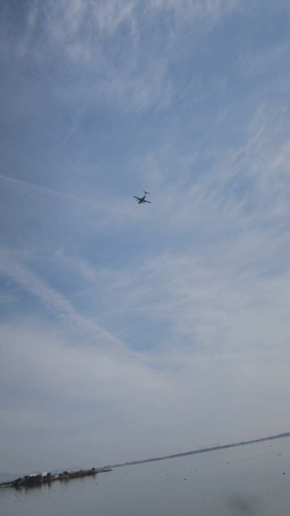 空高し
