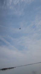 空高し