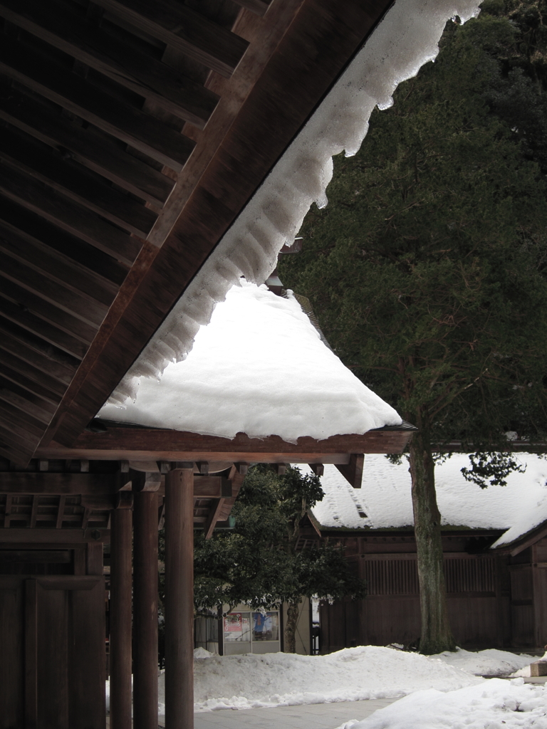 軒先　緩む雪