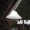 軒先　緩む雪