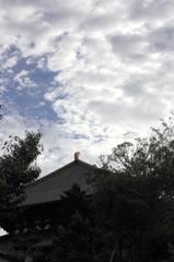 東大寺大仏殿、朝