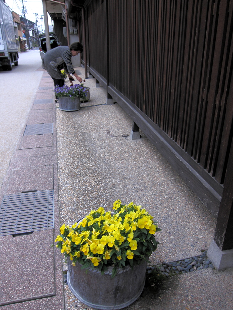 通りの彩り