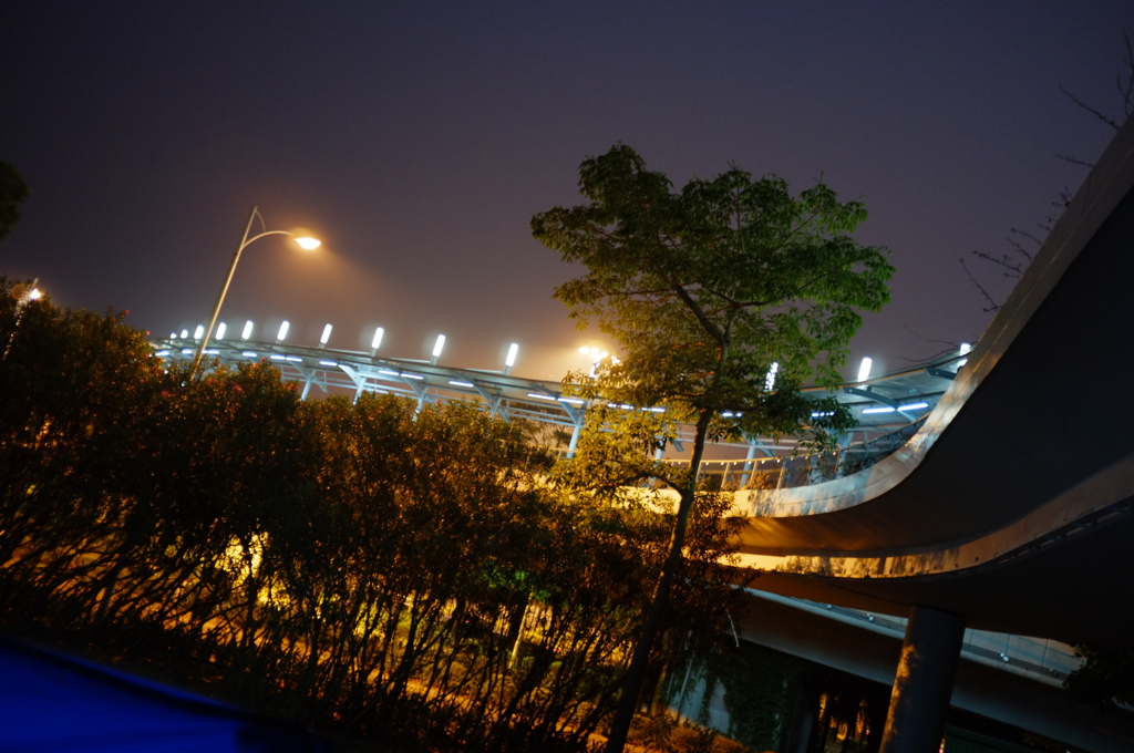 町と橋