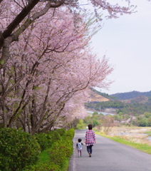 手をつないで