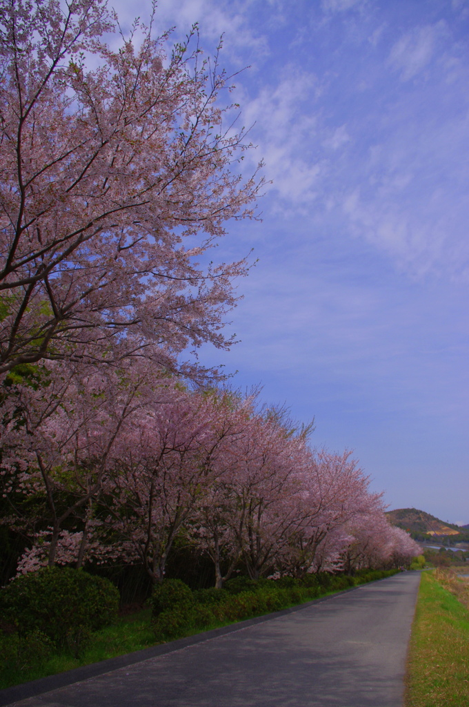 青空のもとで