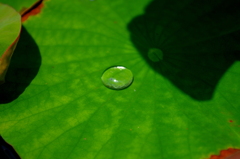 雨上がり