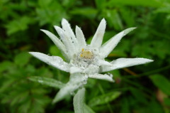 P1000477