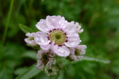 P1000482