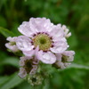 P1000482