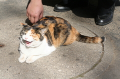 ふにゃーーっ。