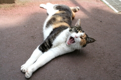 あーーっ！