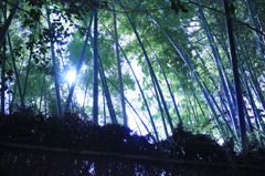 京都_嵐山1