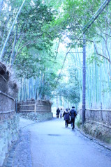 京都_嵐山2