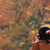 六甲山森林植物園