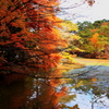 六甲山森林植物園