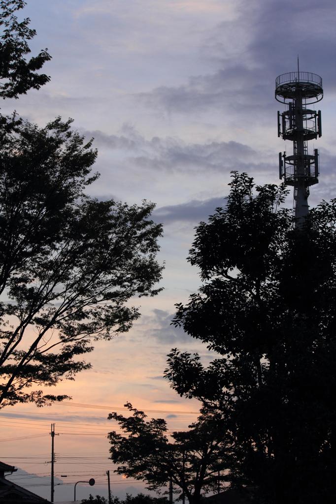 夕焼けと木と電柱