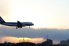 飛行機