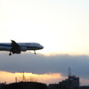 飛行機