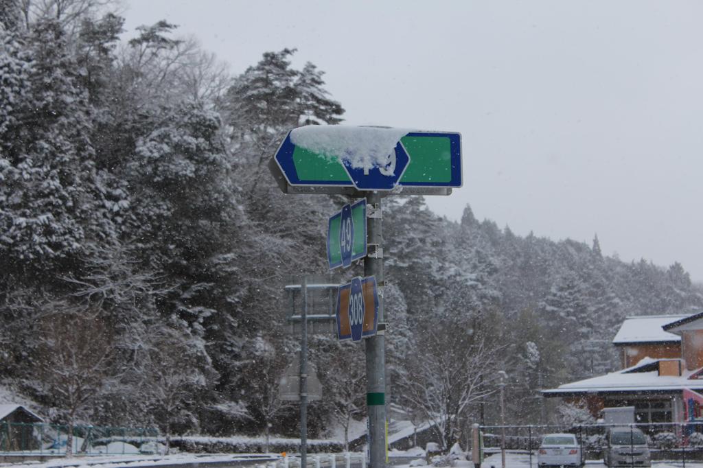 雪！！