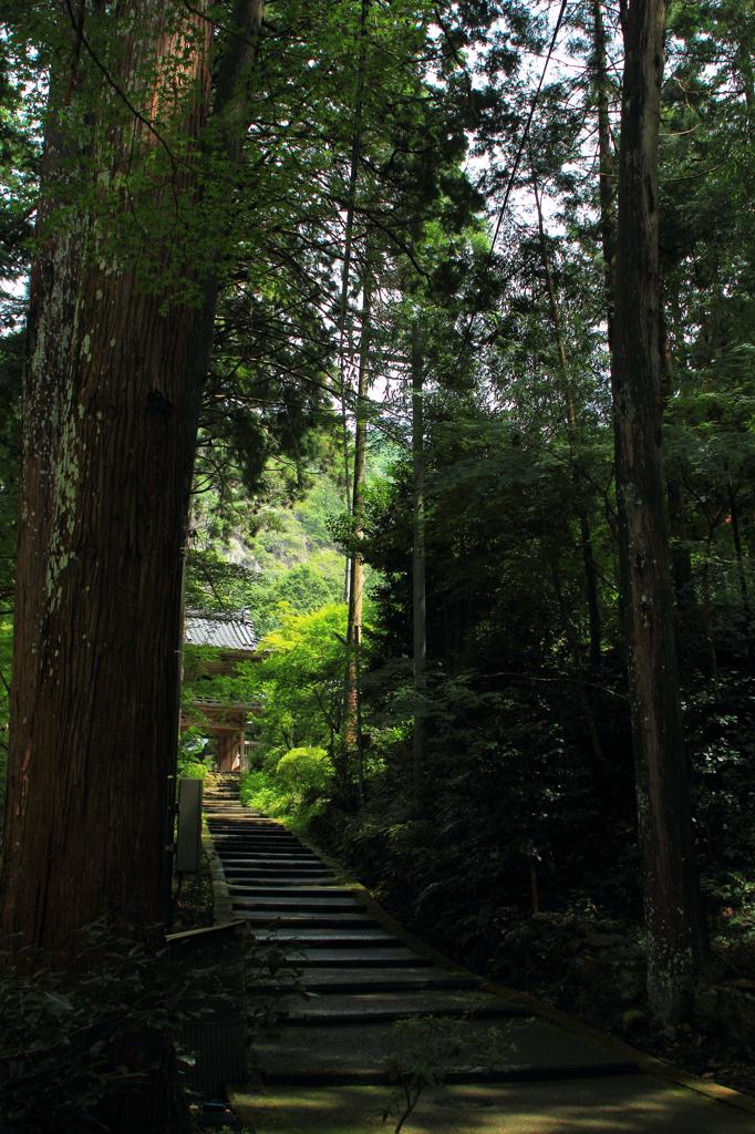 弘法大師開基の尼寺