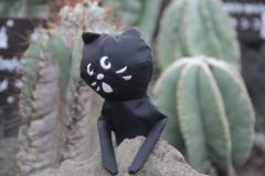 シャボテンとにゃーさん