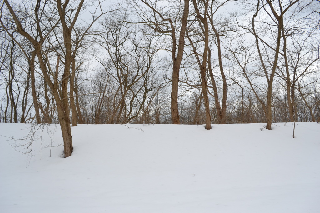 雪景色