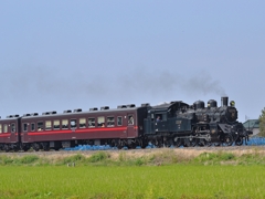 真岡鉄道SL列車