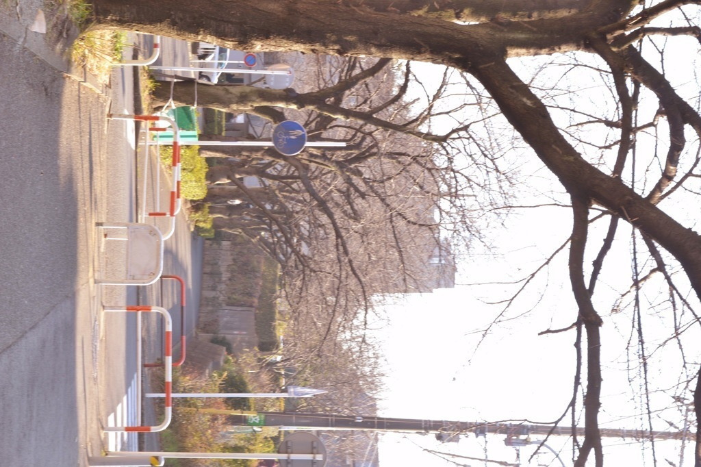 散歩道