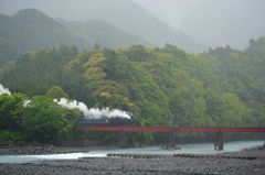 しっとり、大井川にて。