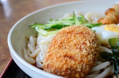 冷やし五目うどん