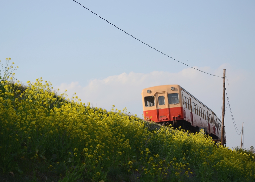 今日も、明日も。