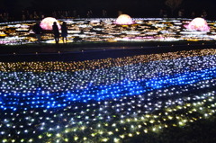 イルミのじゅうたん