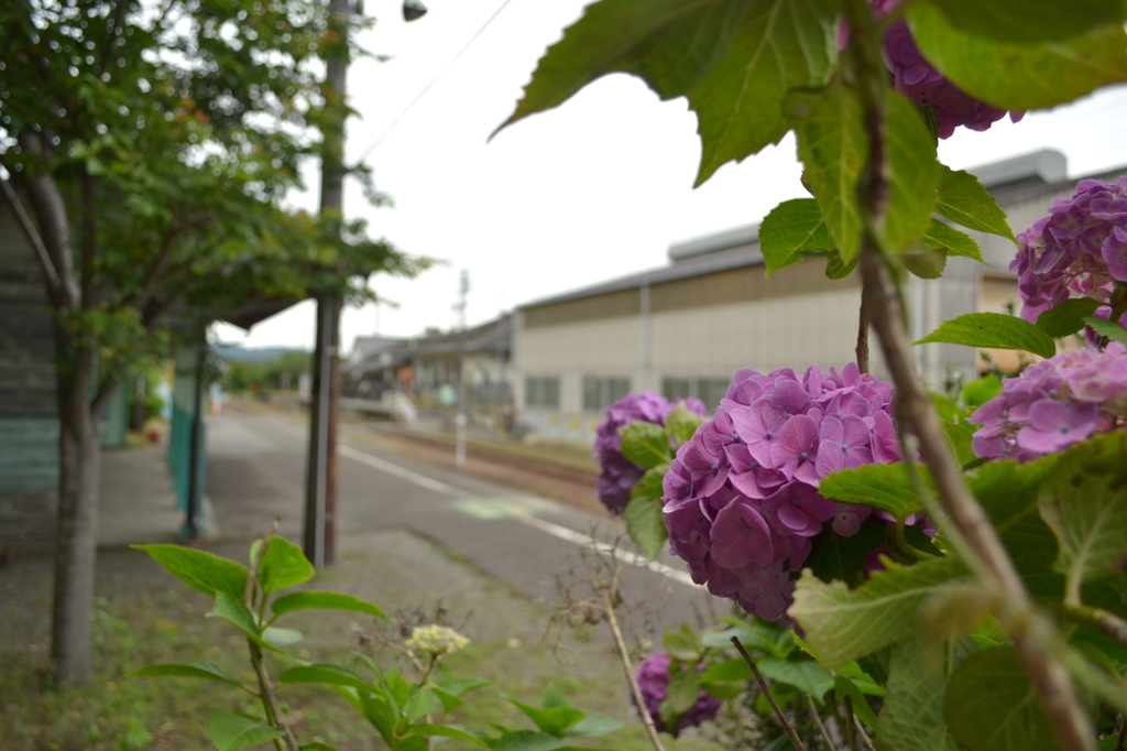 ６月の駅舎